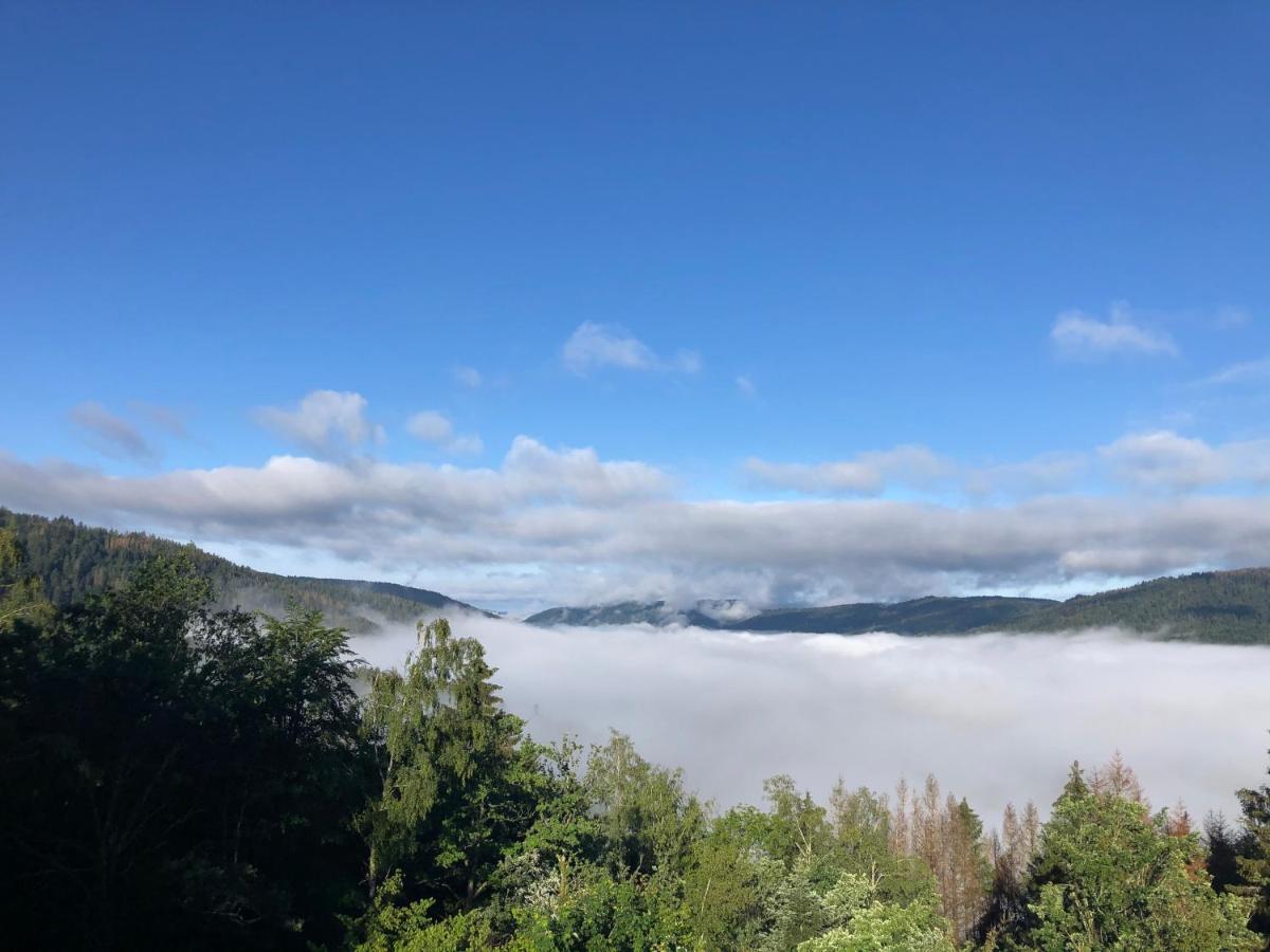 Le Gite Cozy De Bouvacote Avec Vue Panoramique Et Sauna Le Tholy Dış mekan fotoğraf